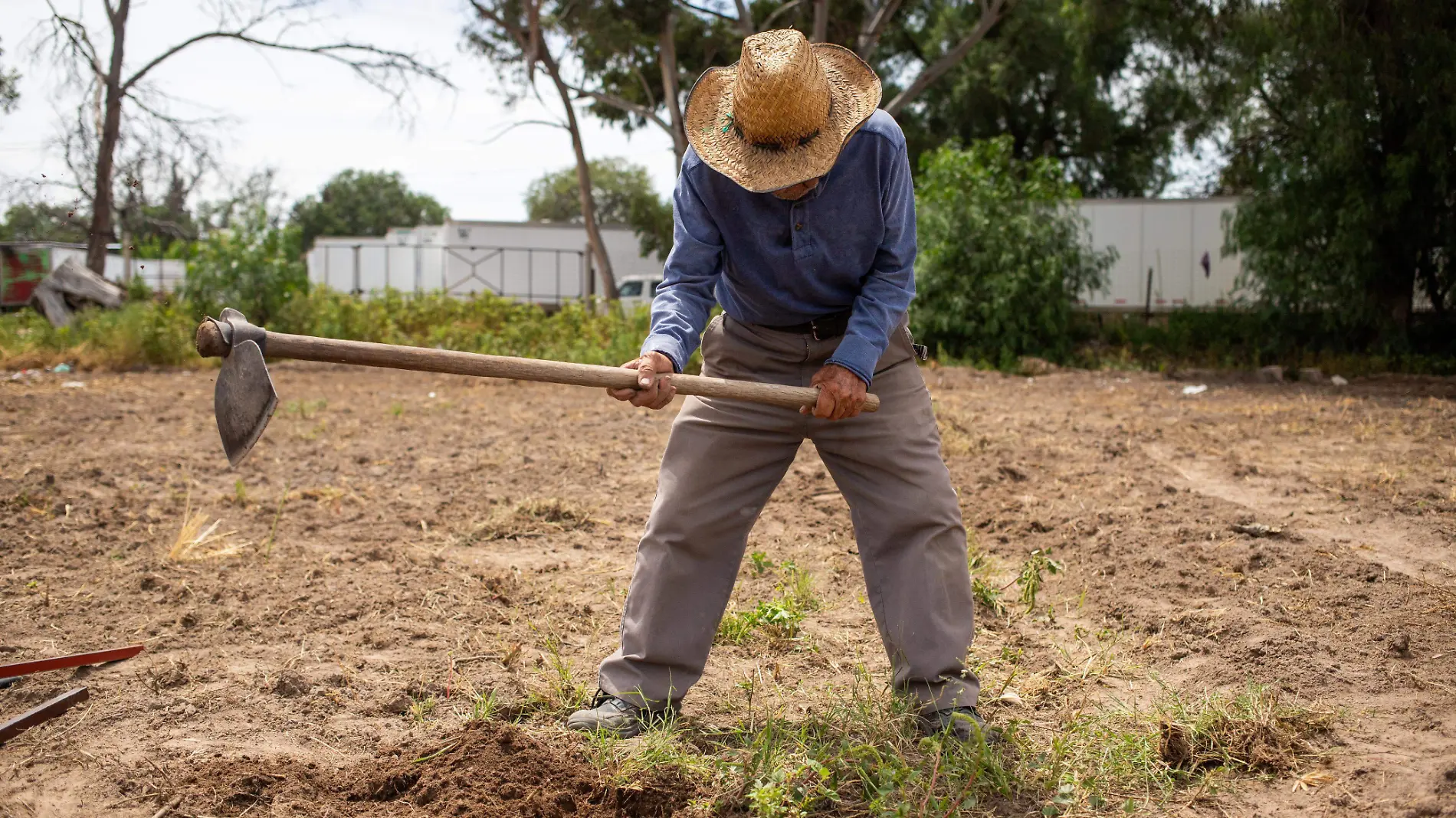 Agricultura en Soledad